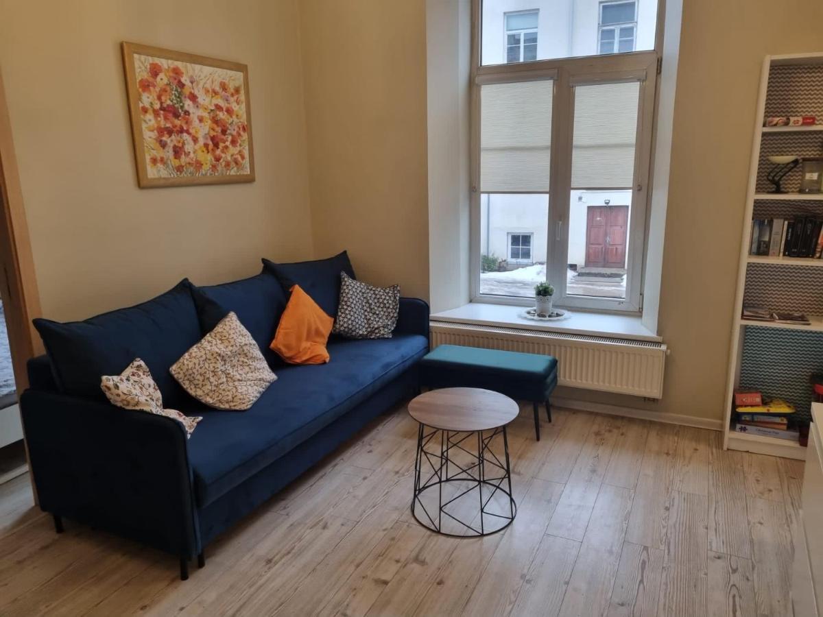 Igo Apartment Uzupis Wilna Exterior foto